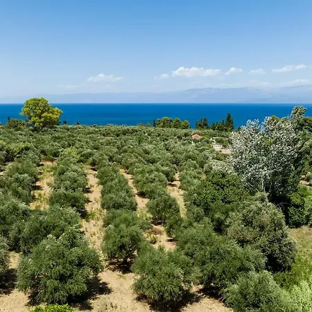 Holiday home The Olive Yard House In *