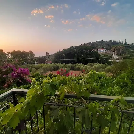The Olive Yard House In Holiday home