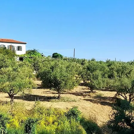 Holiday home The Olive Yard House In *