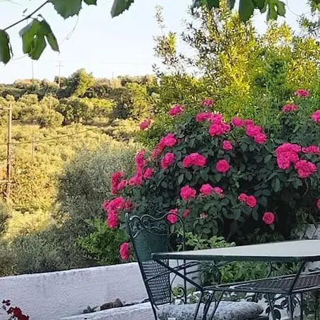 Holiday home The Olive Yard House In